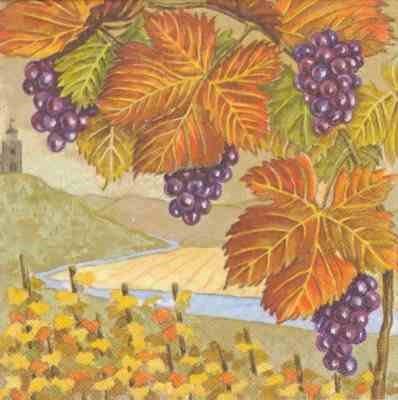 Landschaft mit Weinranken (E)
